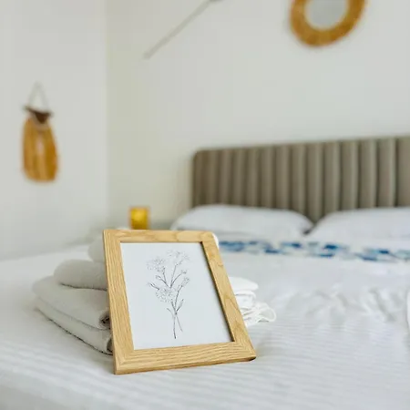 Apartment Amos Apartment-ultracentral-free Parking Cluj-Napoca