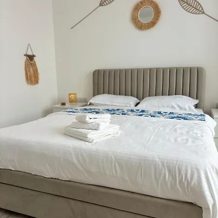 Amos Apartment-ultracentral-free Parking Apartment Cluj-Napoca